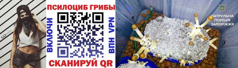 Галлюциногенные грибы MAGIC MUSHROOMS  OMG маркетплейс  Анадырь  купить наркотики цена 